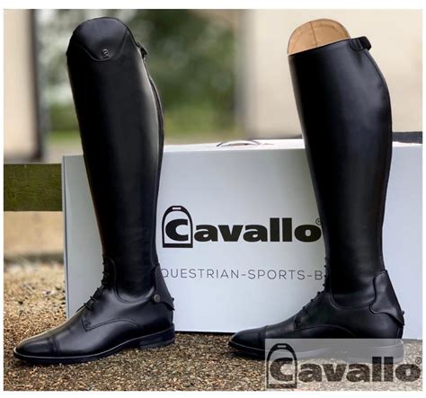 cavallo fortis